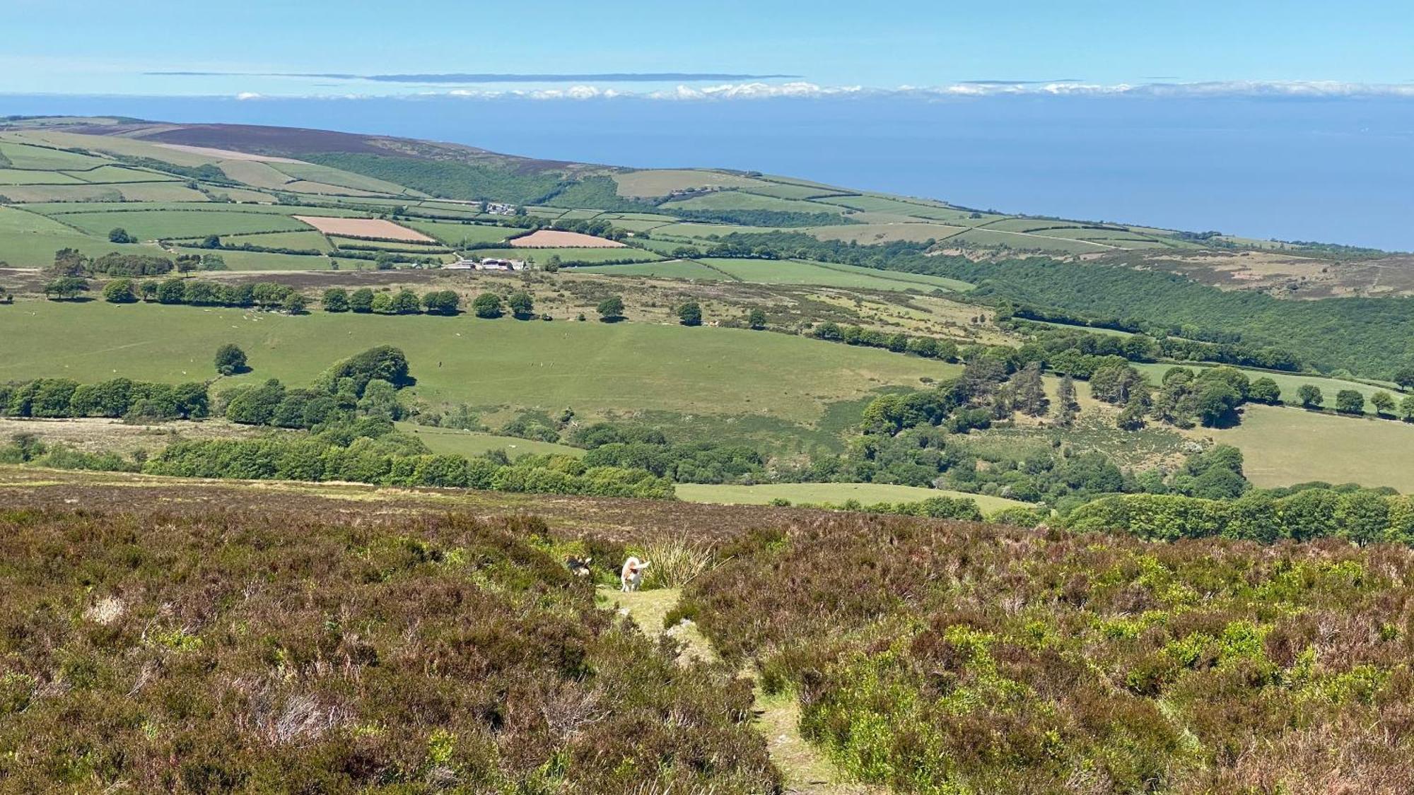 Exmoor Bnb In Withypool On Two Moors Way Exterior foto